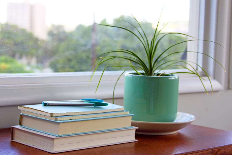 A stack of books with a pen resting on top, on a table by a window.